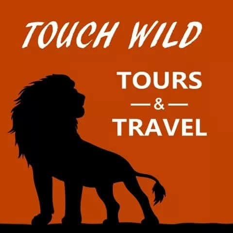Touch Wild
